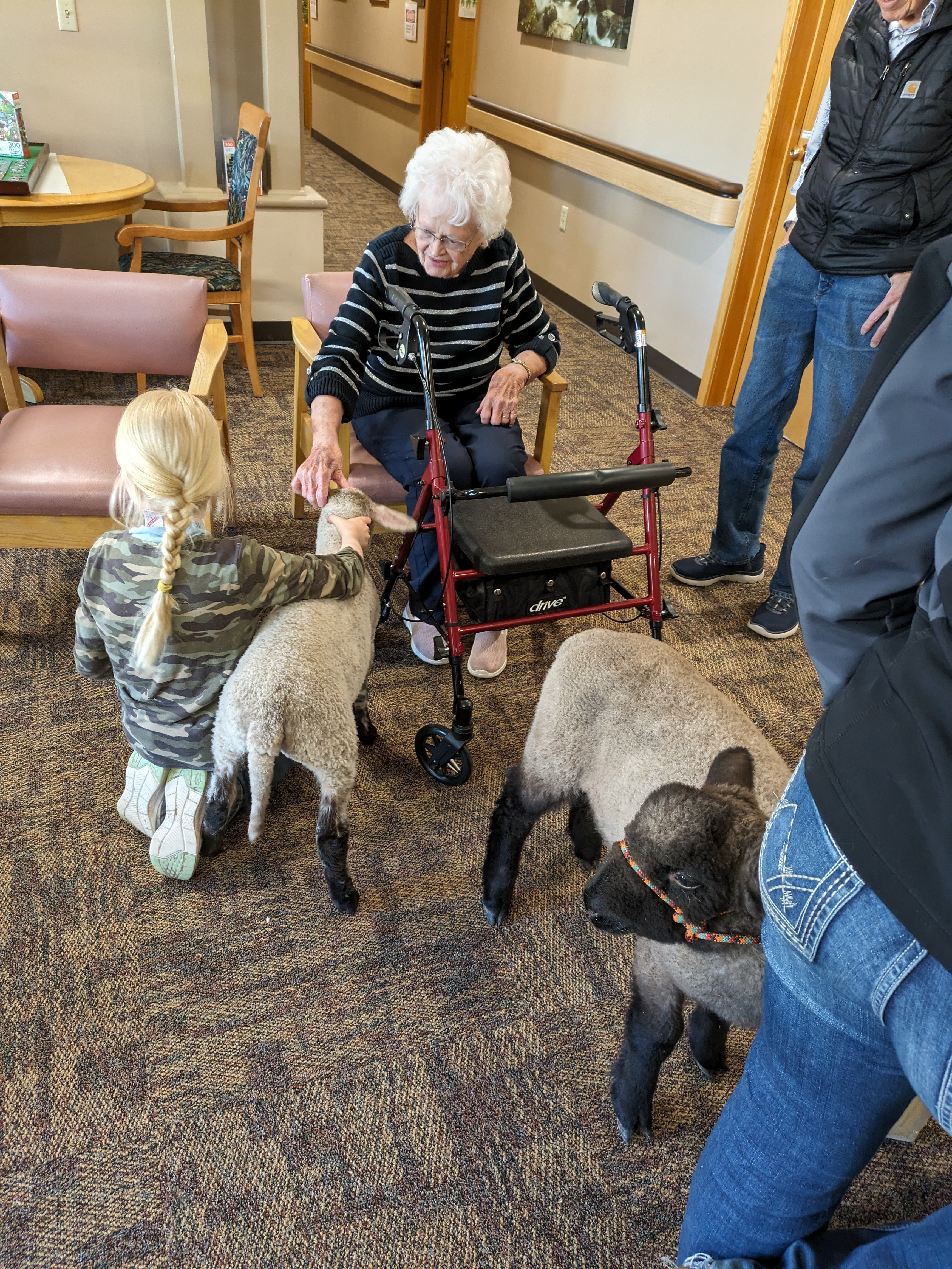 Assisted Living Resident Pets Lamb